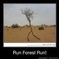 run forest run!