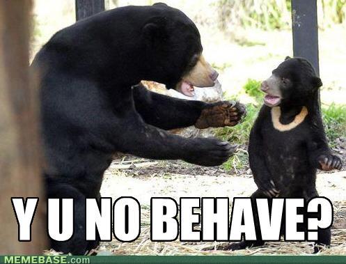 Behave young bear - meme