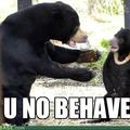 Behave young bear