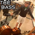 the bass