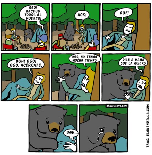 nice bear - meme
