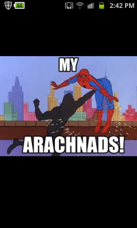 got to love spiderman - meme