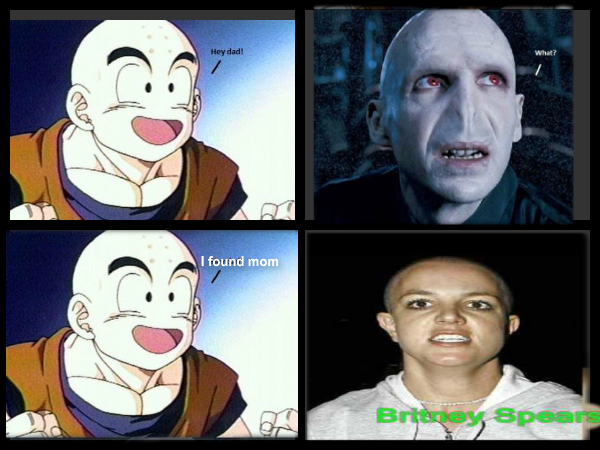 Voldemort, son and wife - meme