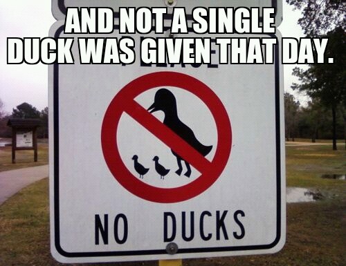 not a single duck - meme