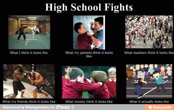 highschool fights - meme