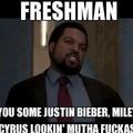 freshmen >:/