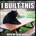 bear hands