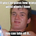 wee plants