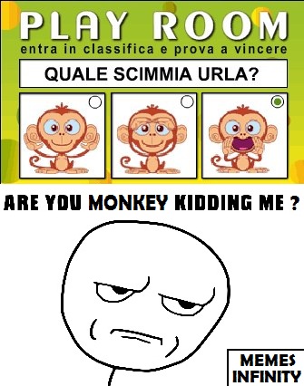 Scimmia - meme