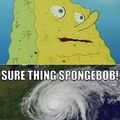 Damn Sandy