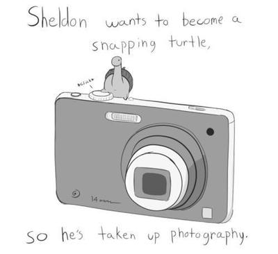 Sheldon the tiny dinosaur!<3 - meme