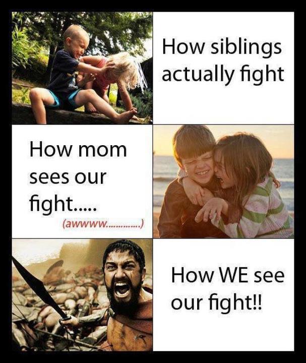 This is FIGHTING - meme