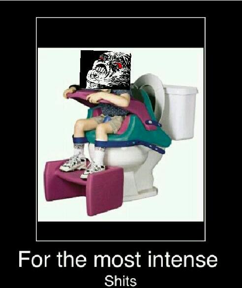 I installed this on all my toilets - meme