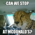 McDonald's Tiger