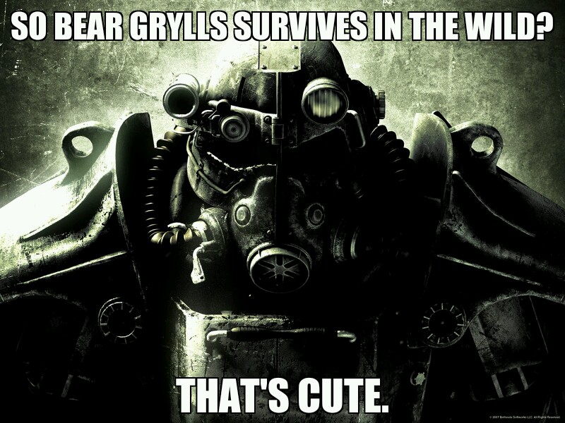 Let's see Bear survive in the wasteland! - meme