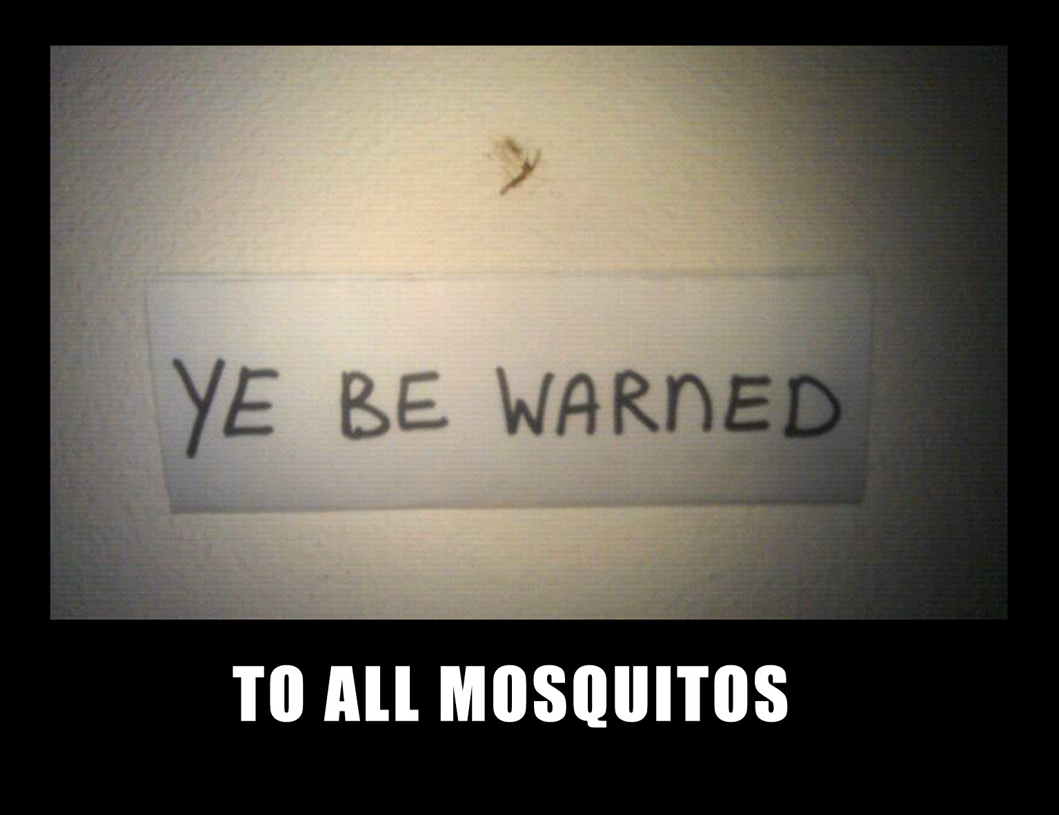 To all mosquitos - meme