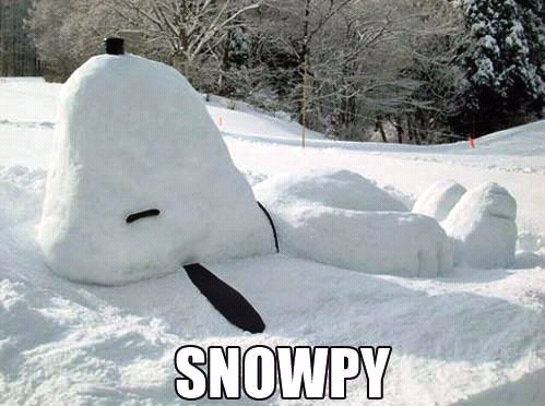 Snowpy - meme