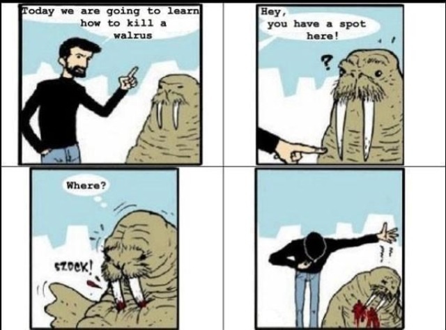 Killing a walrus - meme