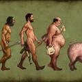 American evolution