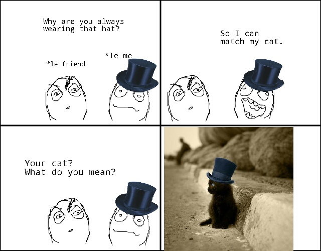 Cat with hat - meme