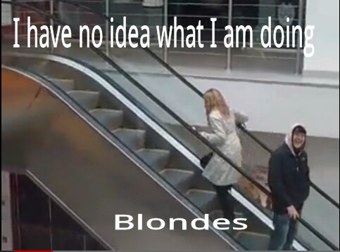 Blondes - meme