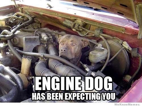 Engine dog - meme
