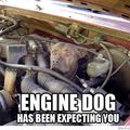 Engine dog