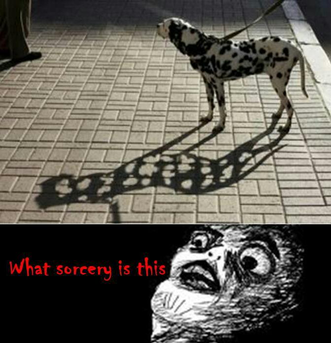 dalmatian shadow - meme