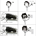 A flys Logic...True story