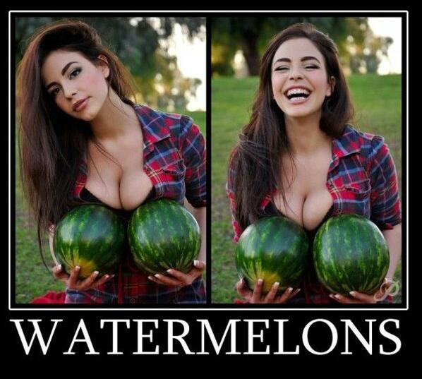 i love melons - meme