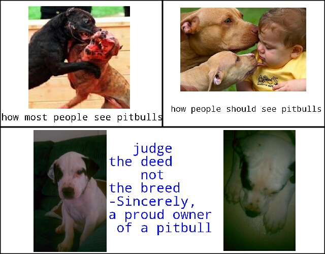 Pitbulls are only bad if their owner is bad. Don't hate. - meme