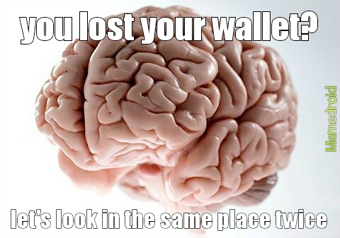 stupid brain - meme