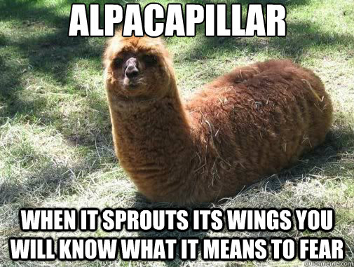 fear the mighty alpacapillar - meme