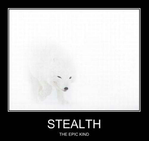 Stealth °-° - meme