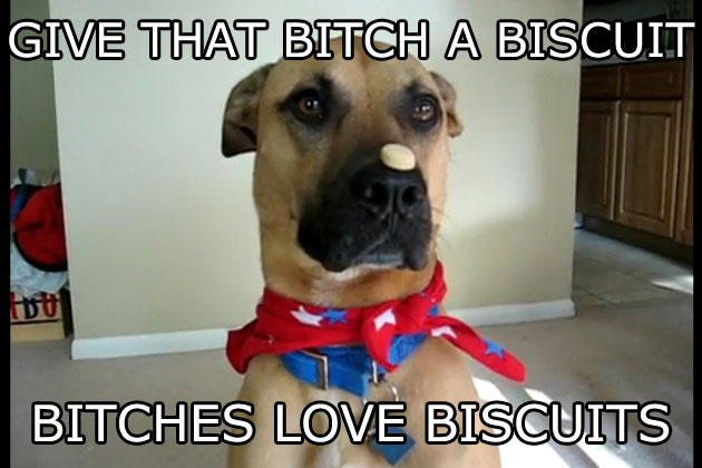 Bitches love biscuits! - meme