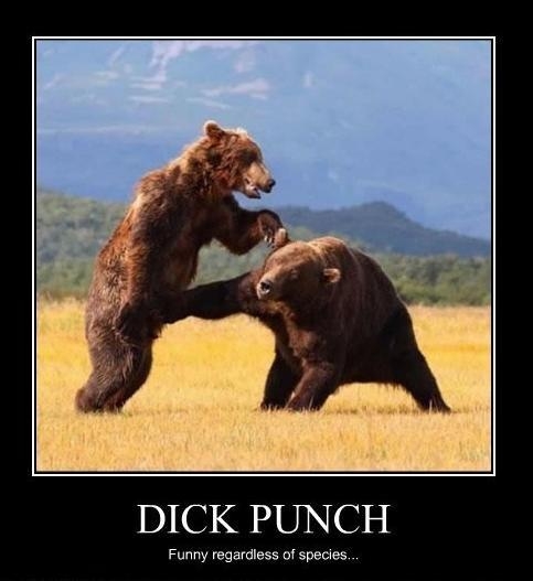 Dick punch - meme