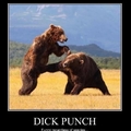 Dick punch