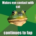 fapp frog