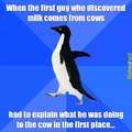 awkward cow guy
