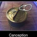 canception