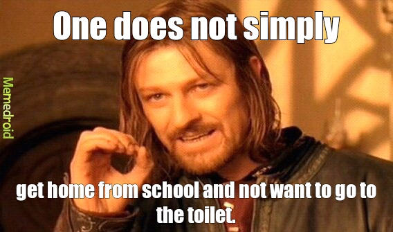 school--home--toilet - meme