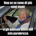 Nonnina al volante