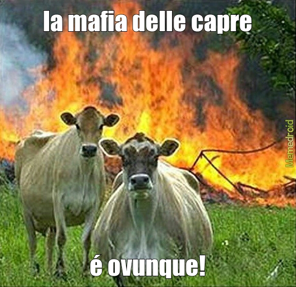 mafia capre - meme