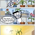 plants deserved better