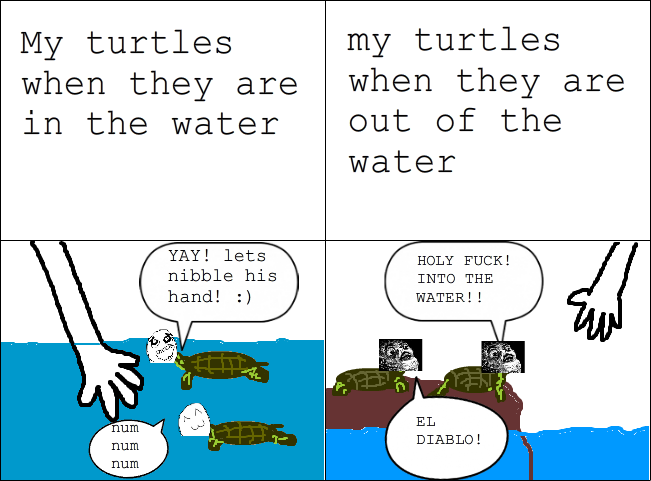 ninja turtles - meme