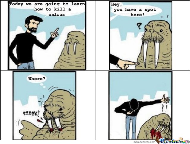 walrus - meme
