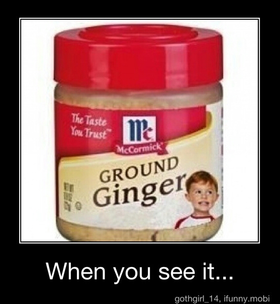 ground ginger...children - meme