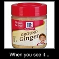 ground ginger...children