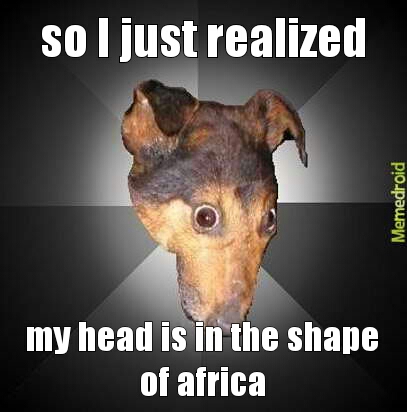 African dog - meme