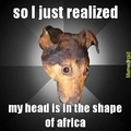 African dog